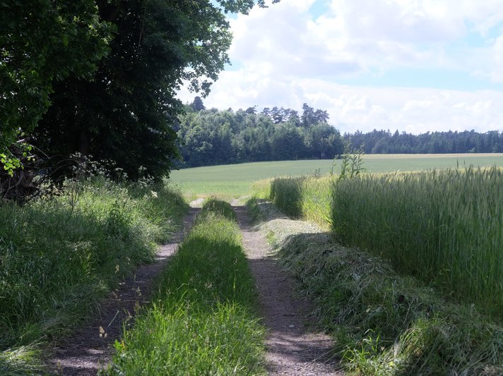 Autendorf Juni 16 (7).jpg