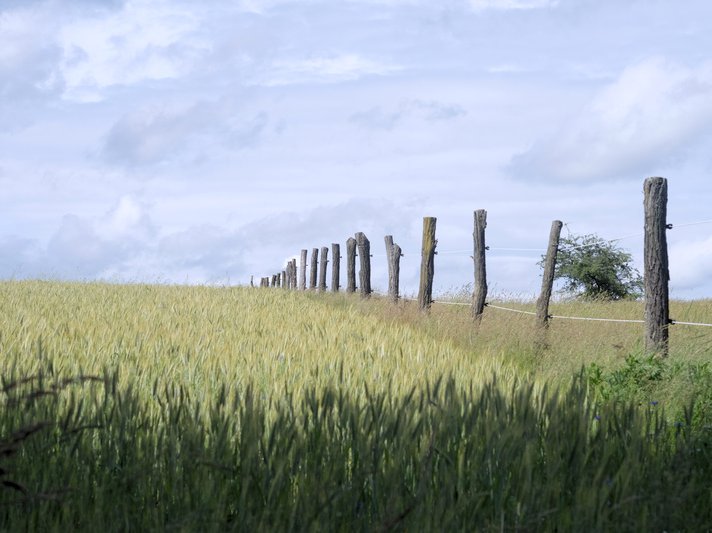 Autendorf Juni 16 (8)_01.jpg